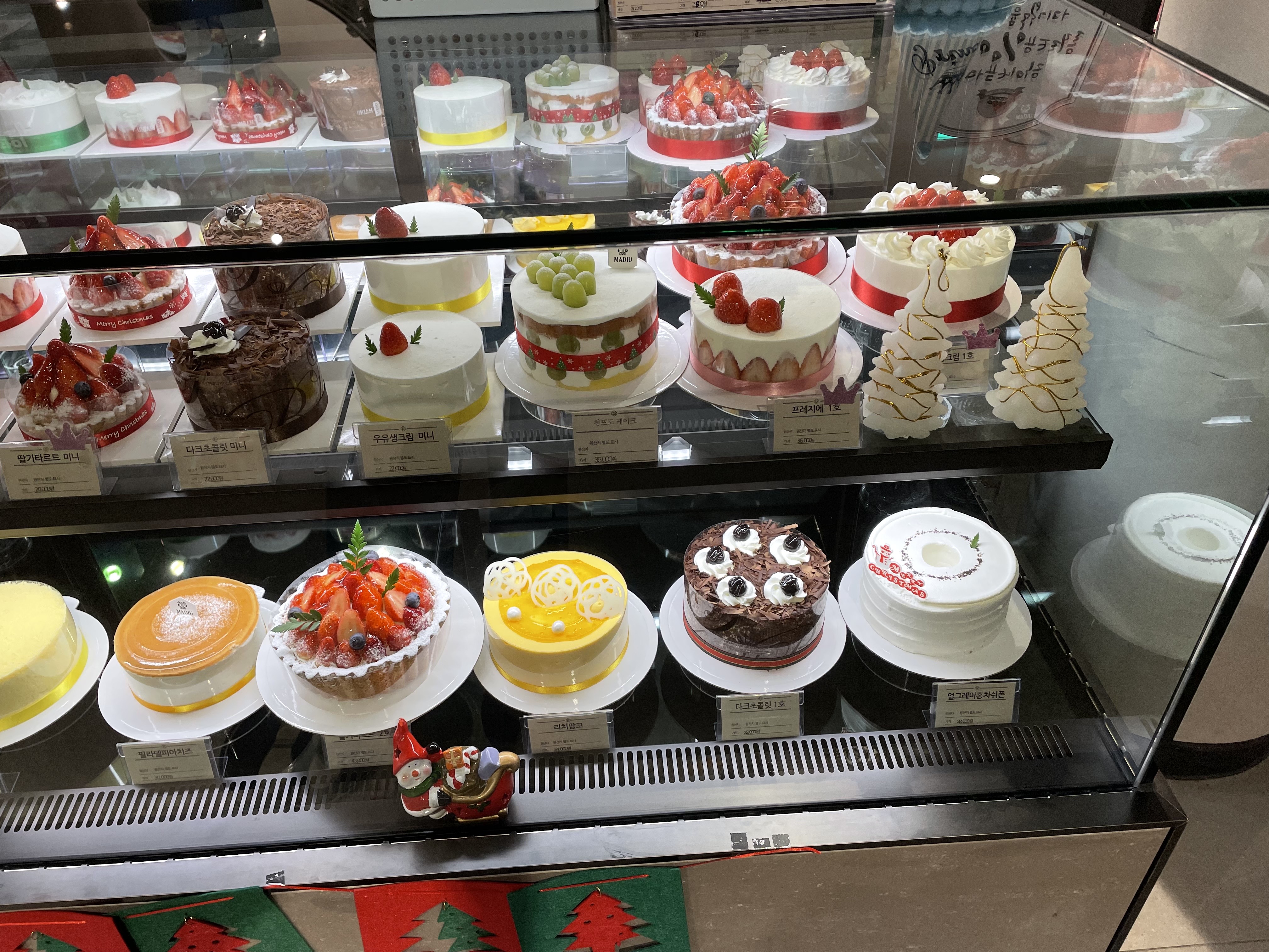 마듀 갤러리아백화점 타임월드점