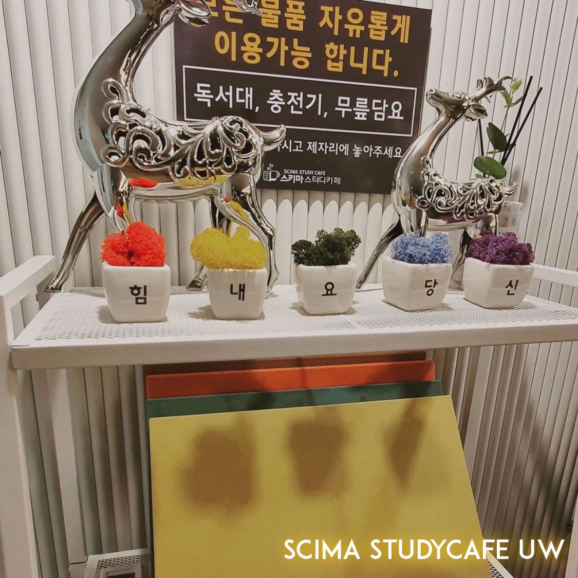 업체사진