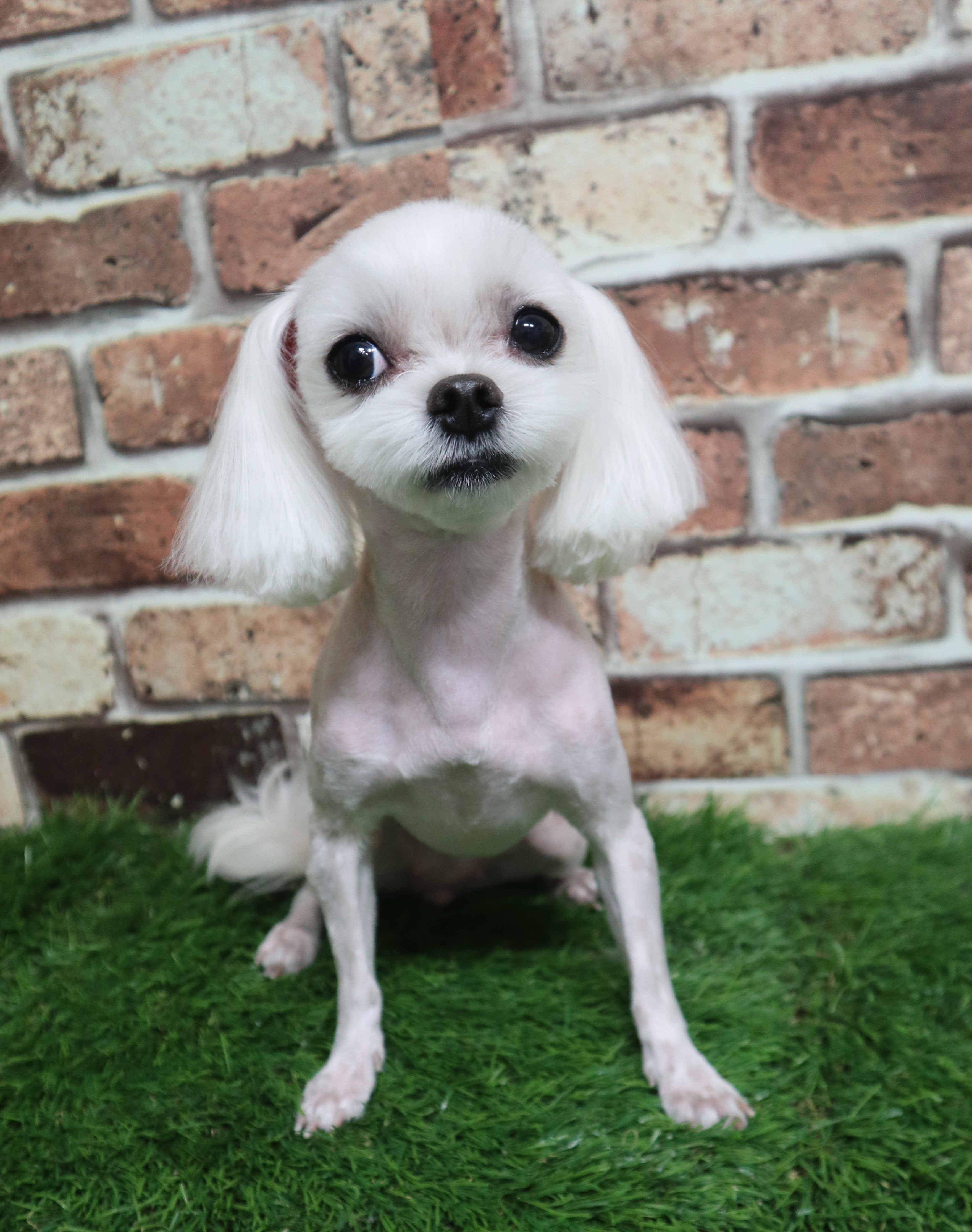 이미지
