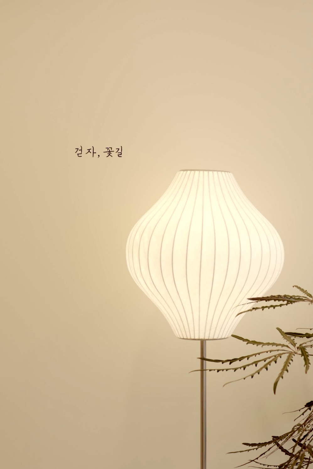 카페샌드 반려동물 동반 애견카페