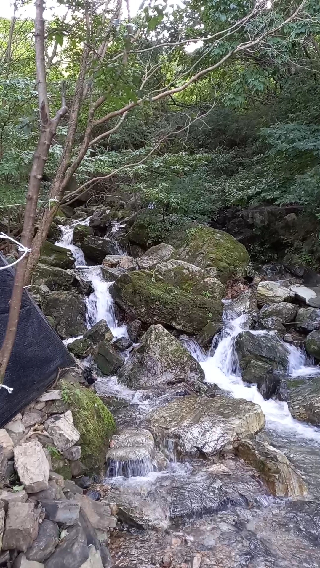 운암철학원