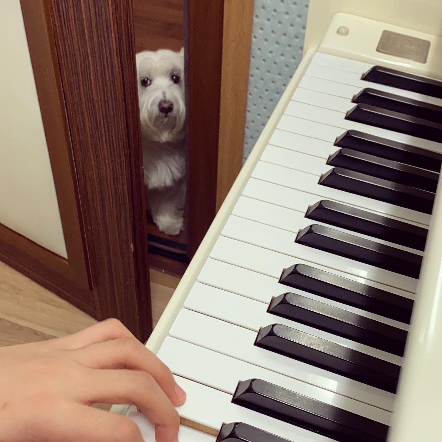 1번째 스튜디오 사진