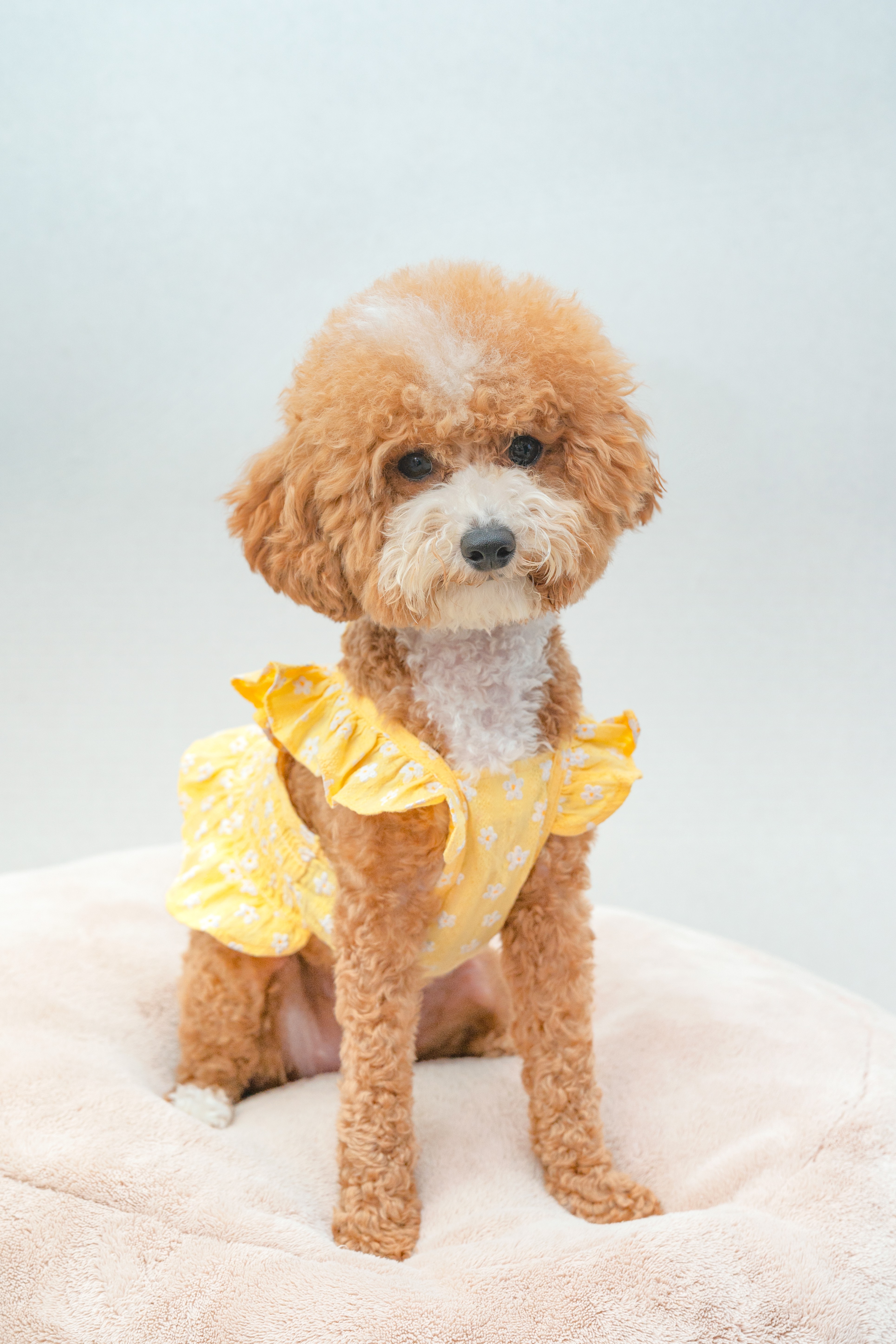 모먼트랩 스튜디오