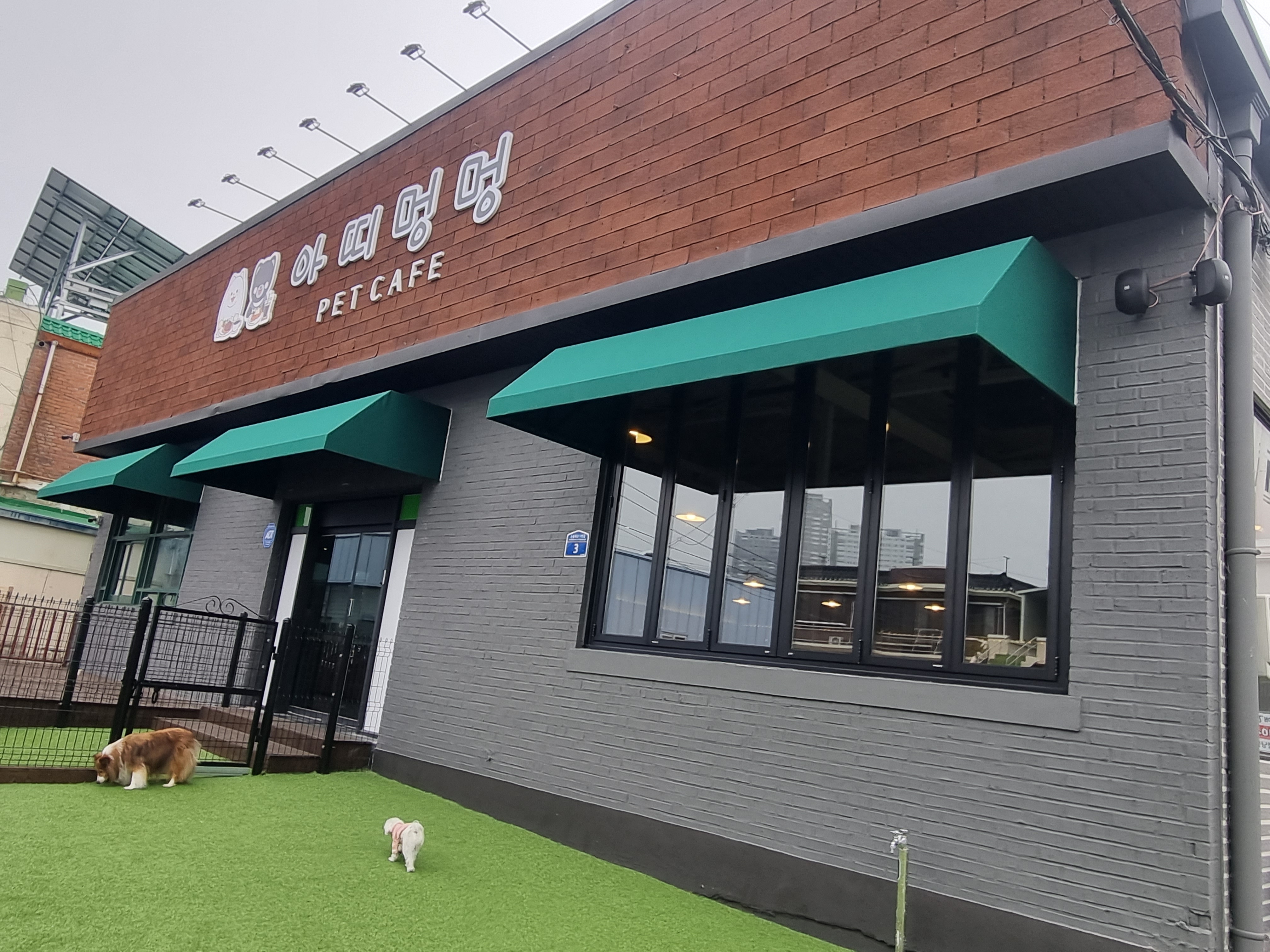 아띠멍멍