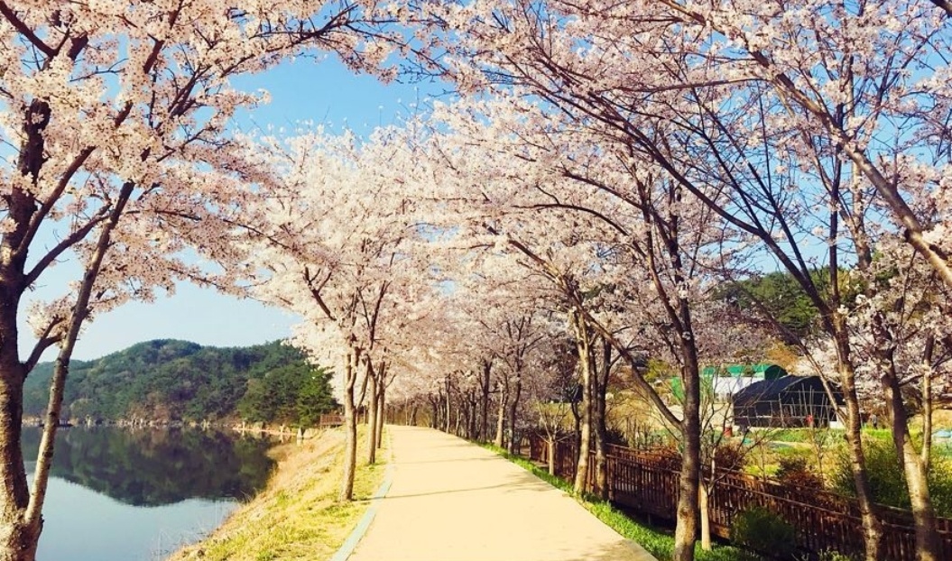 백운집 2