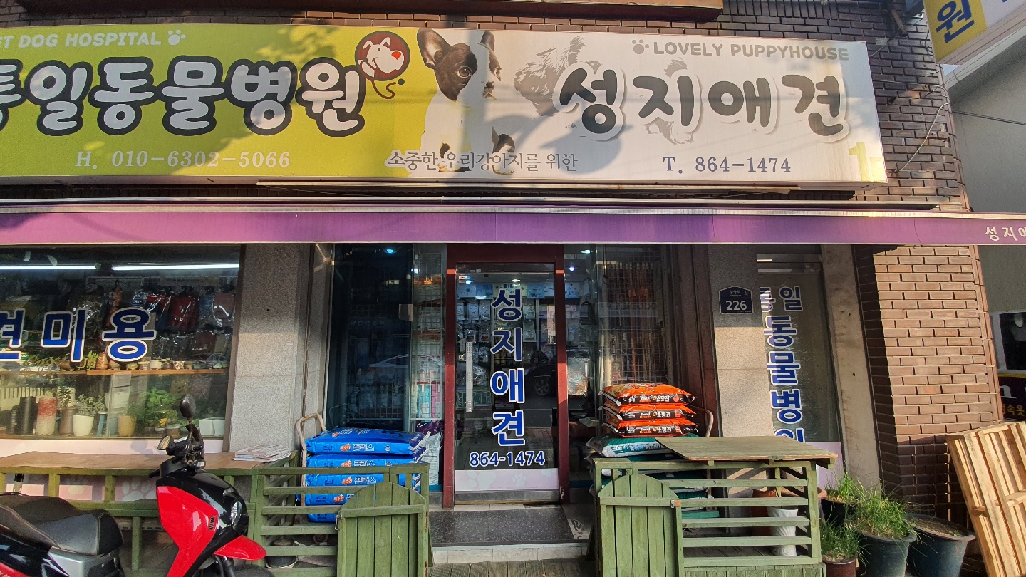 성지애견