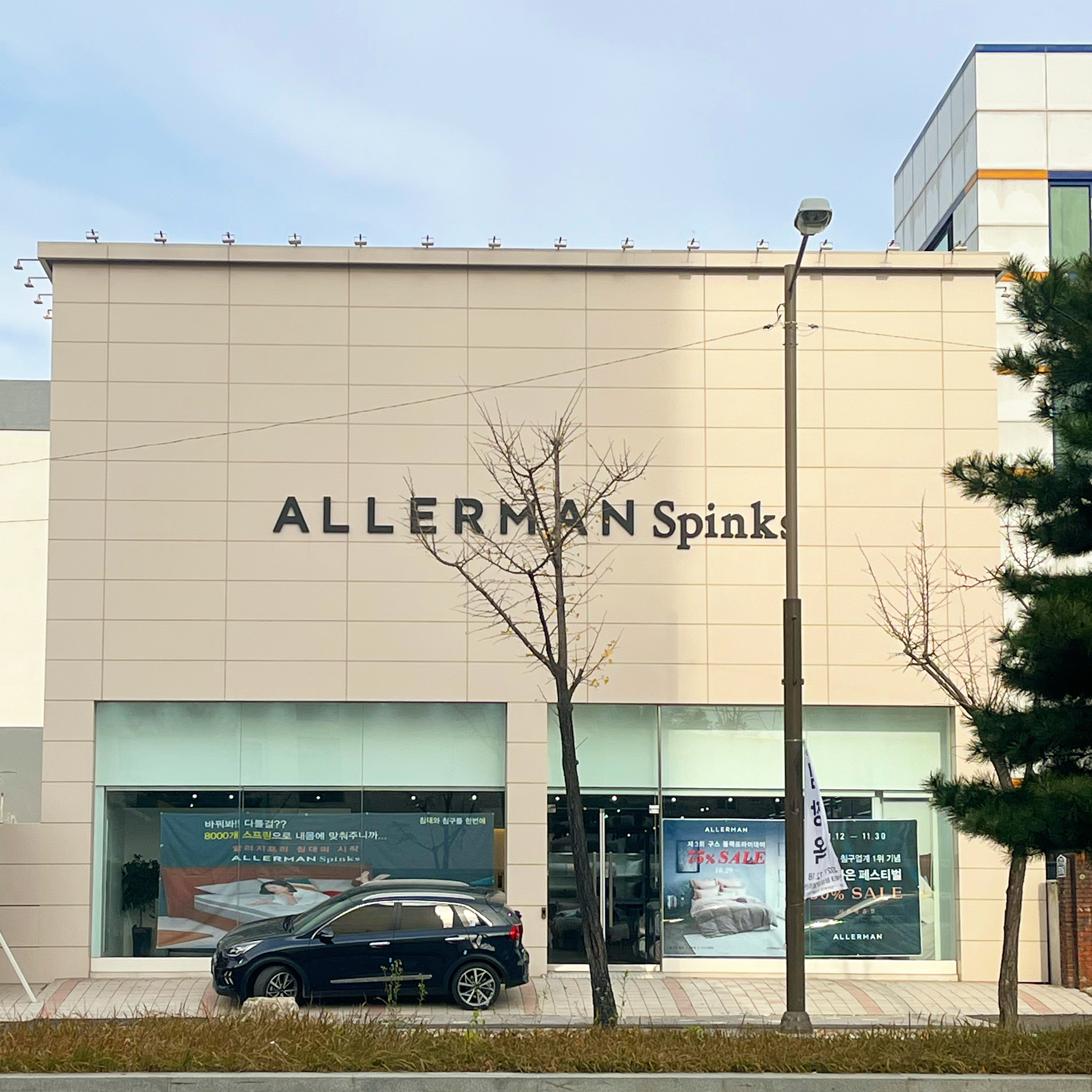 알레르망 스핑크스 전주 덕진구점