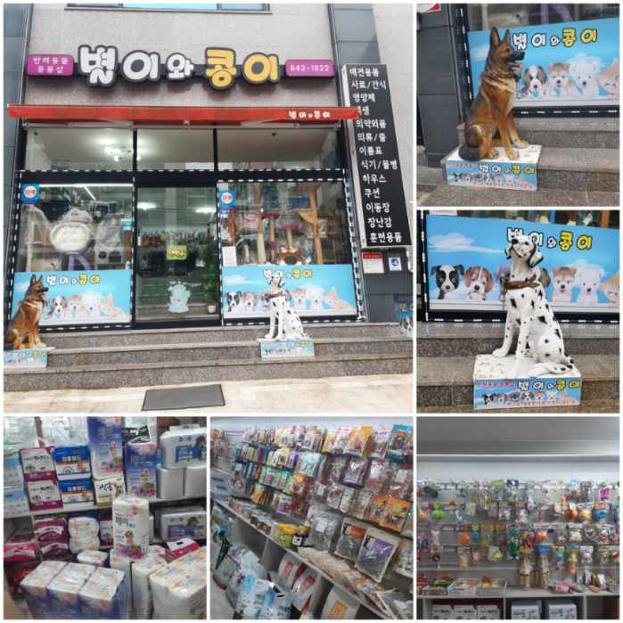 별이와콩이