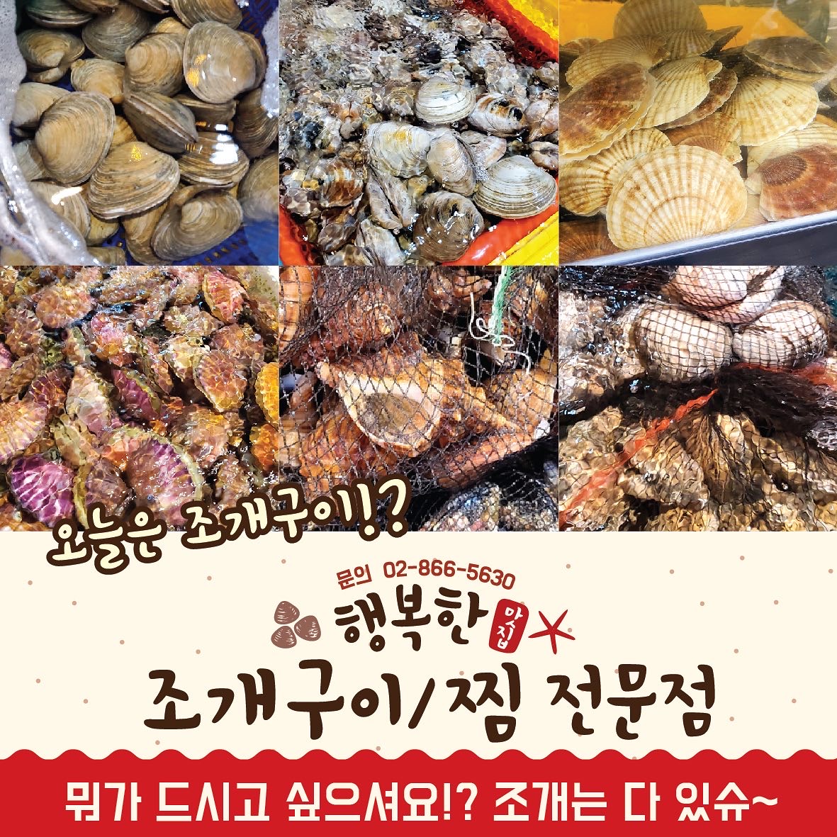 행복한 조개 맛집