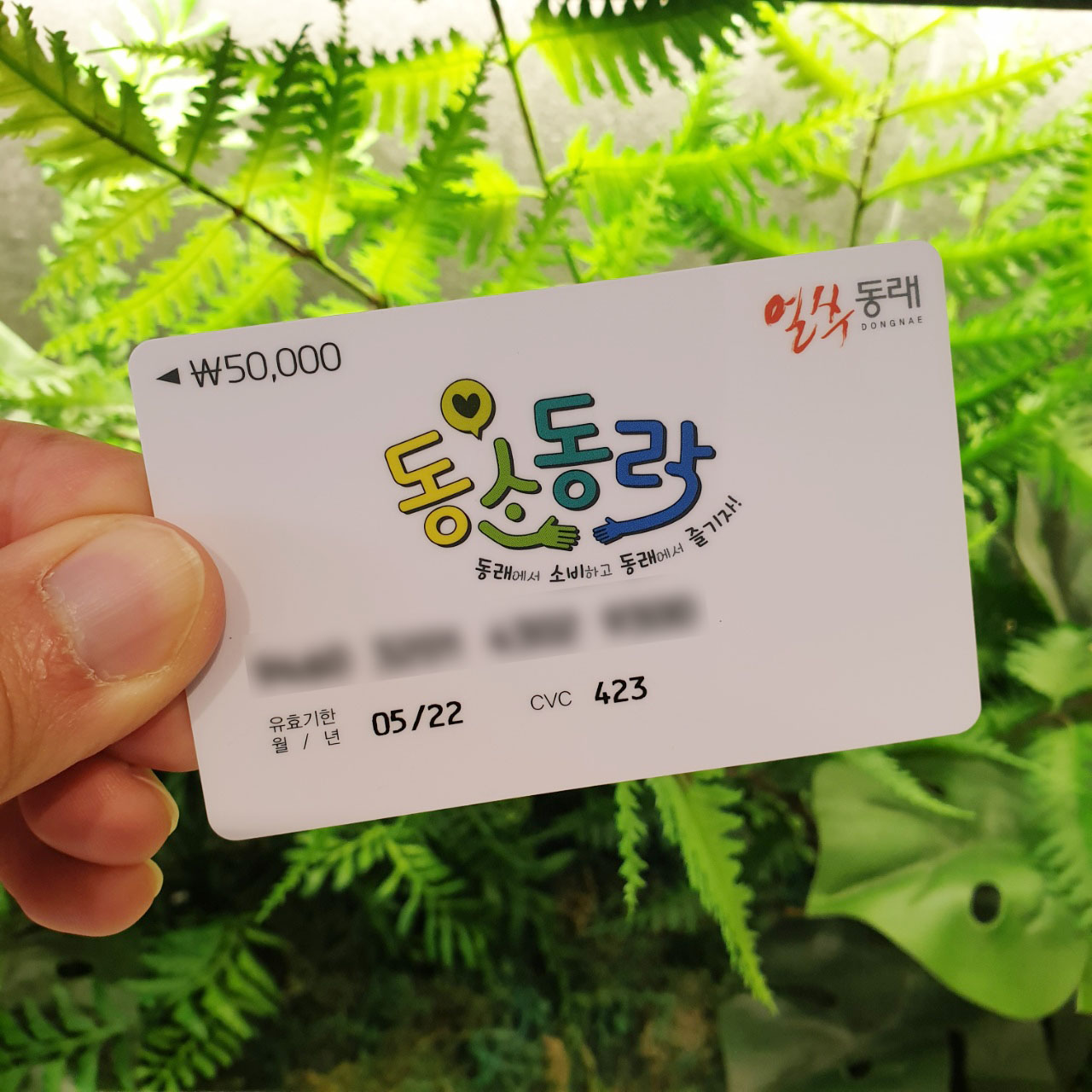 루이까스텔 부산사직점