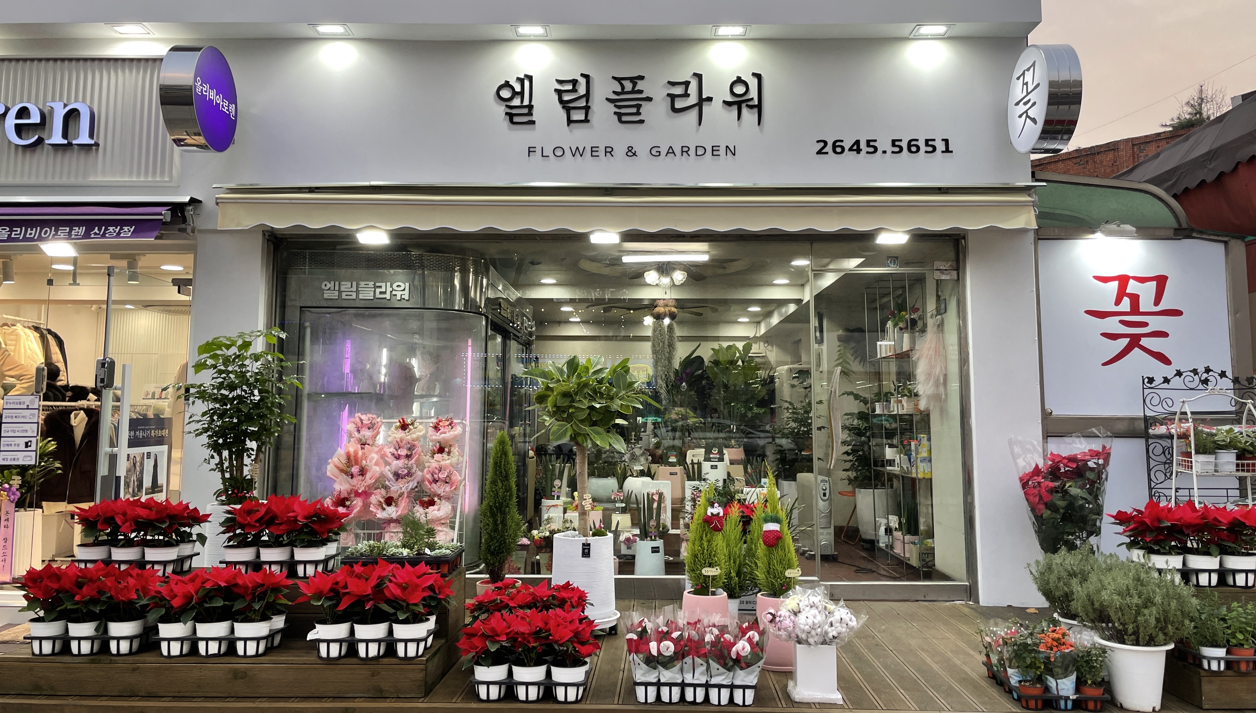 엘림플라워