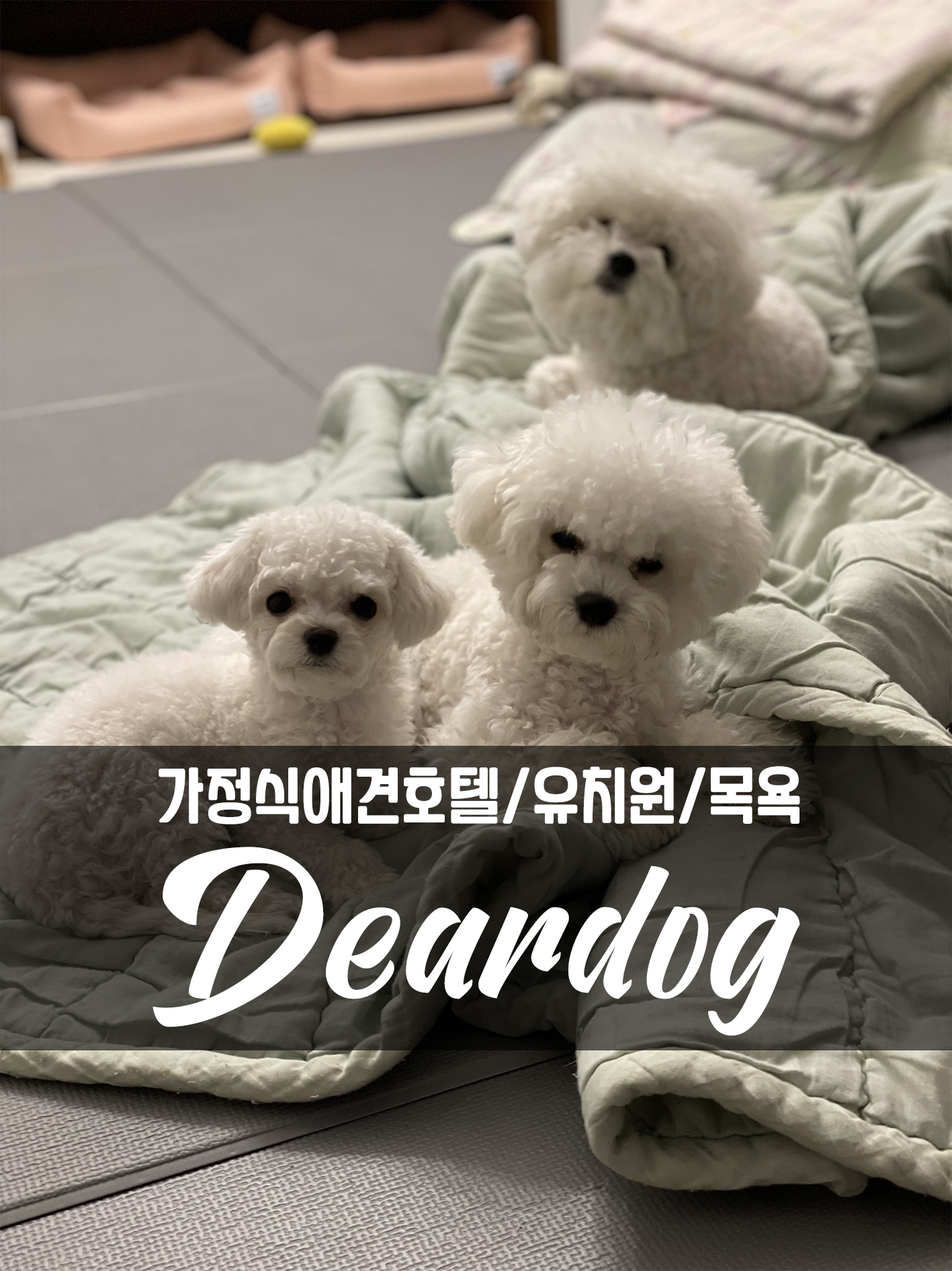 주변 가볼만한 곳