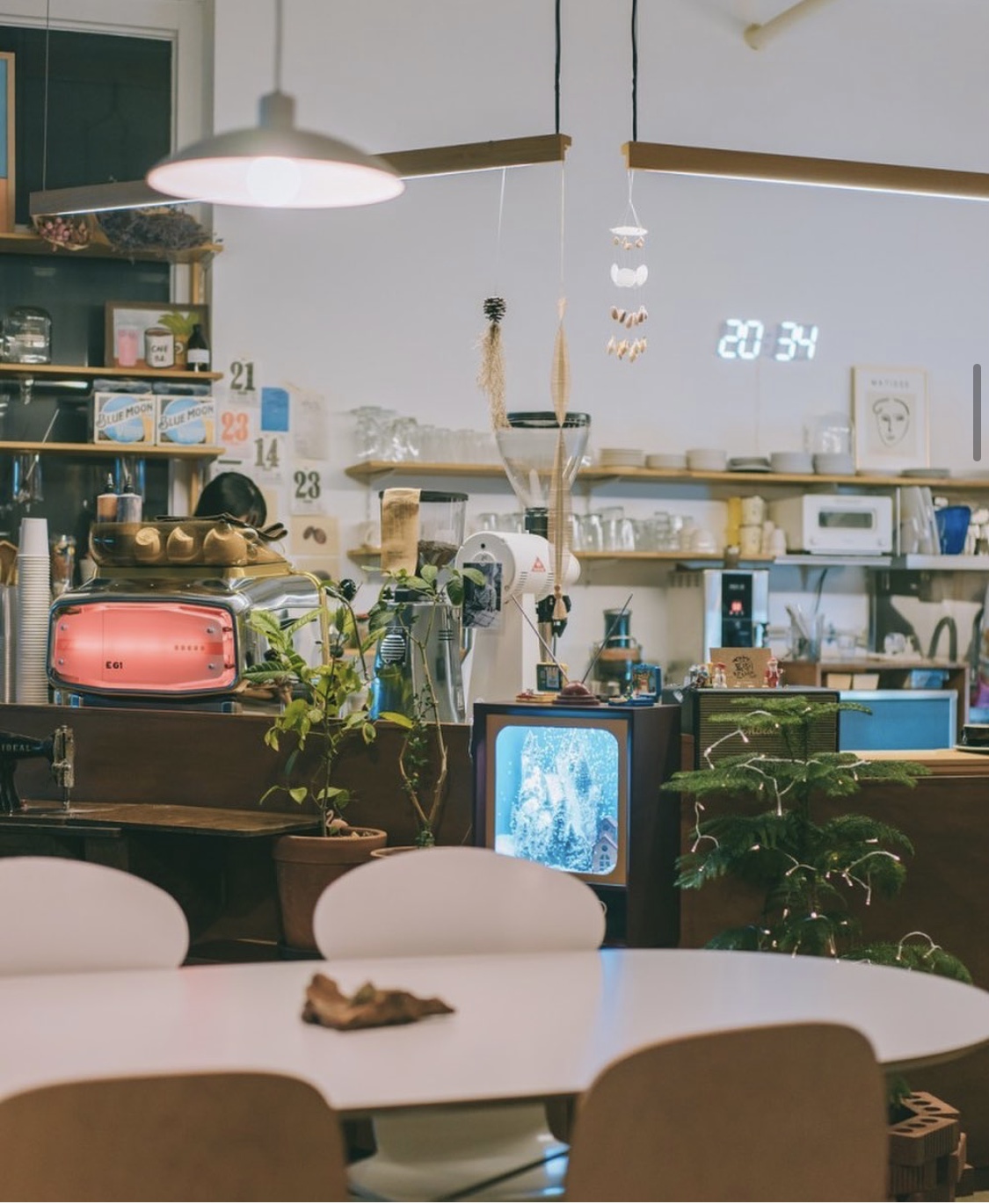 카페 비투