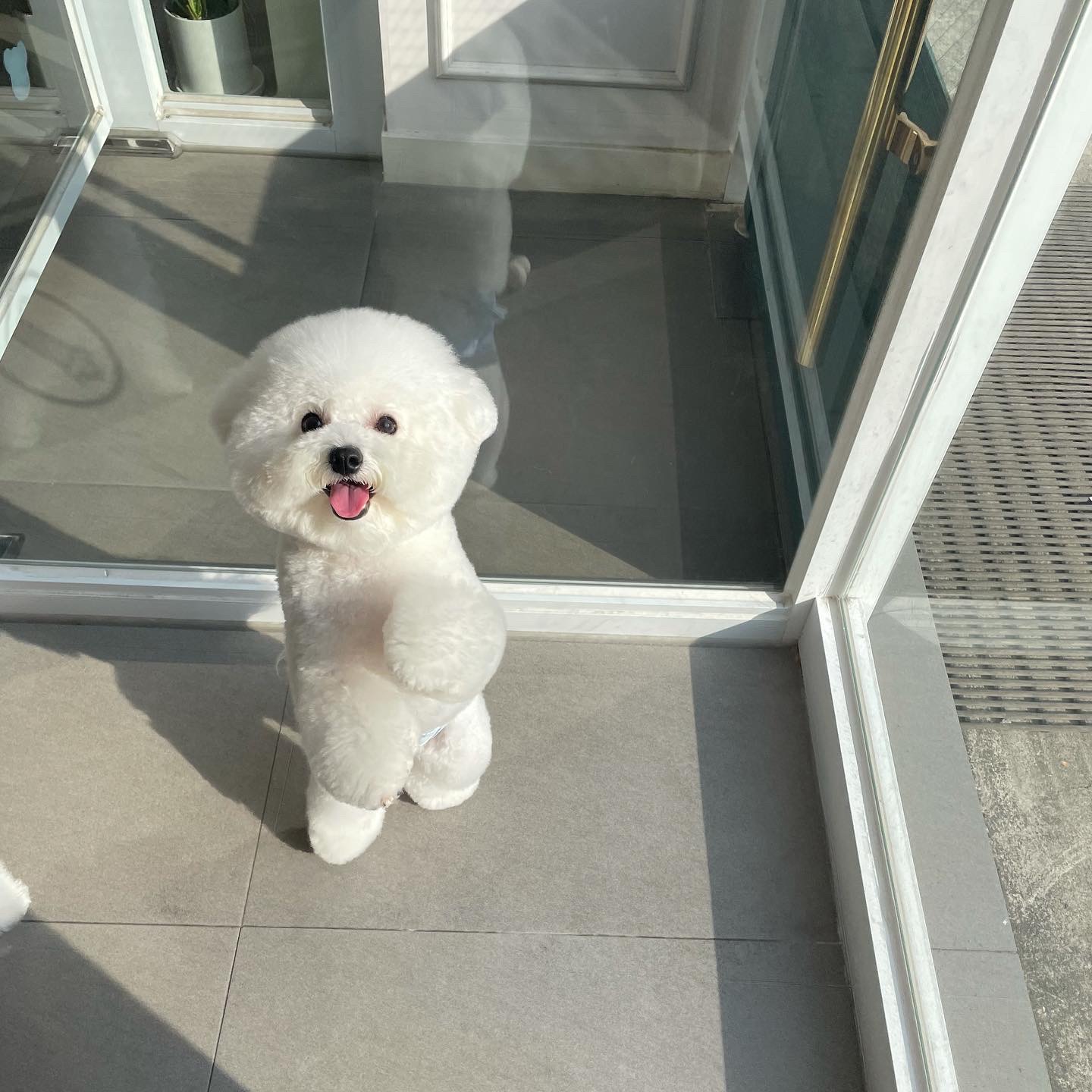 그루밍501 대표 이미지