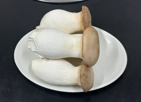 보해정육식당