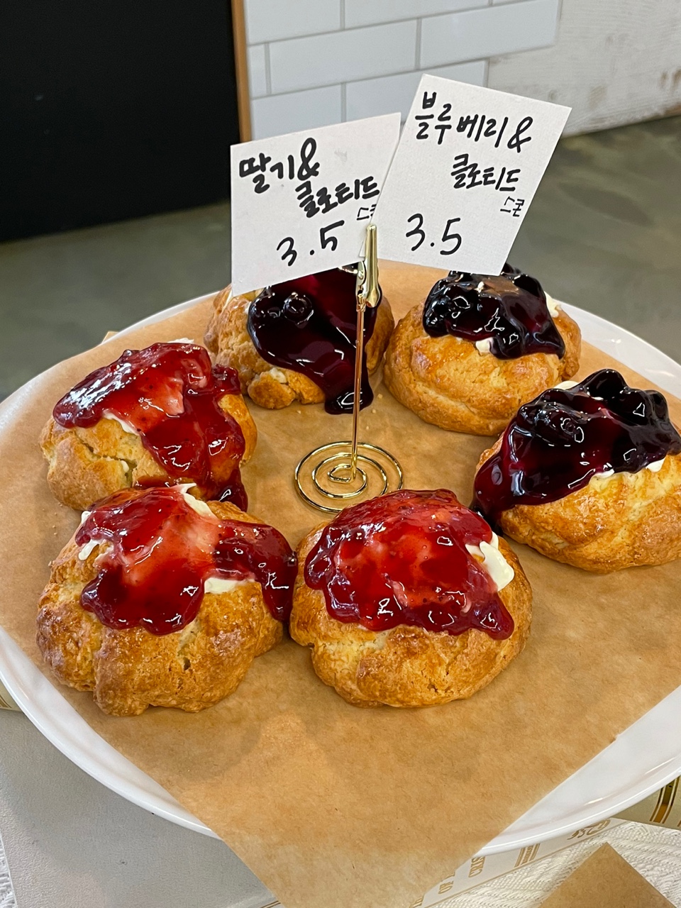 수도사니아 반려동물 동반 애견카페