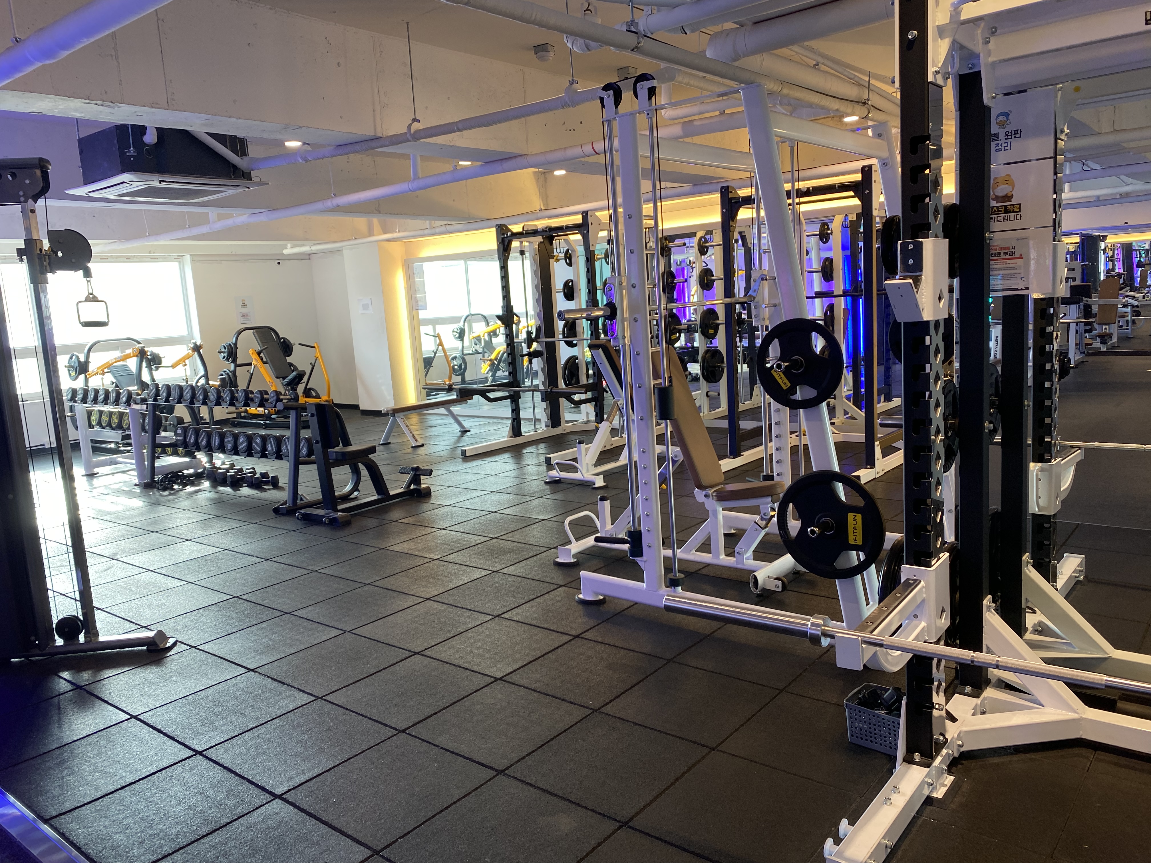 에이스짐 대표 이미지