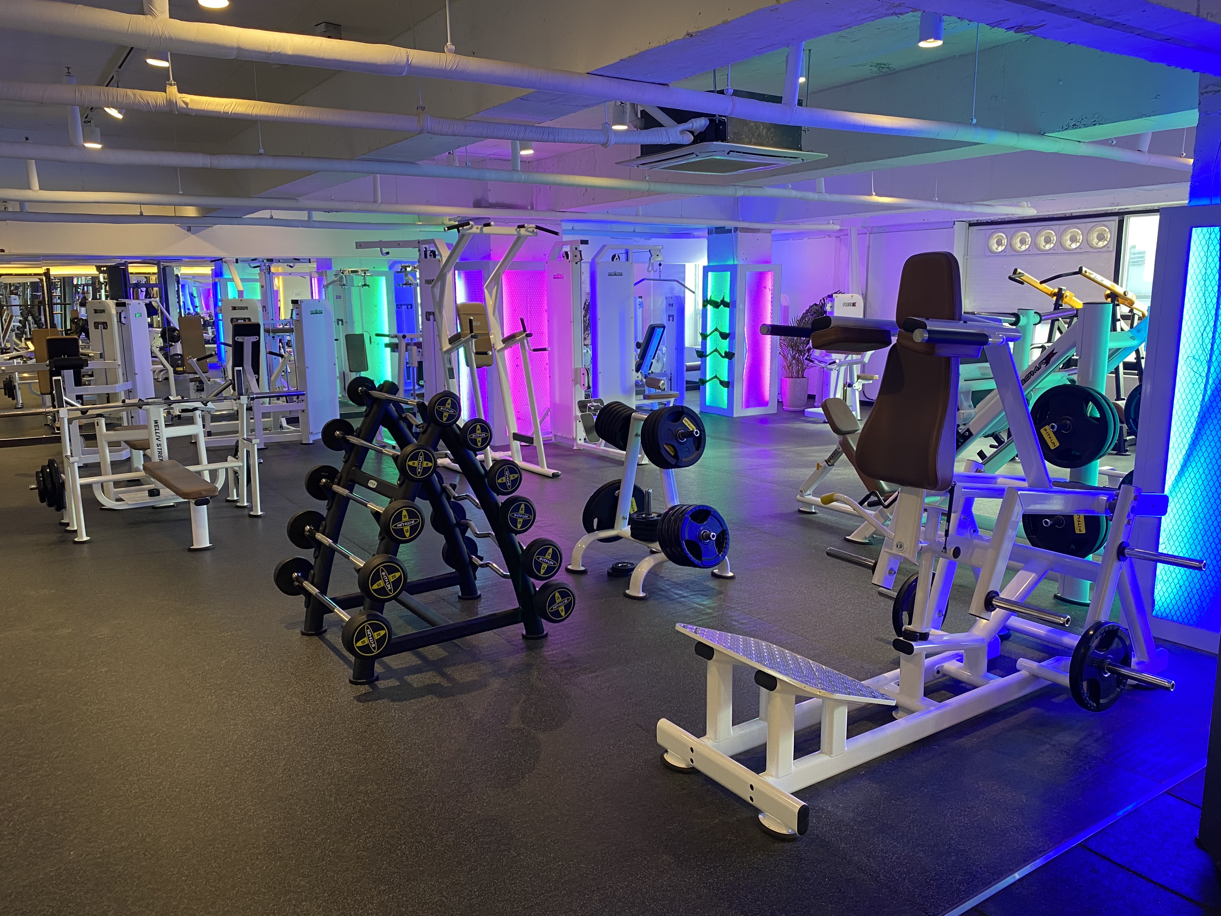 에이스짐 대표 이미지