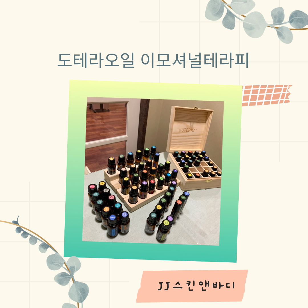 JJ스킨앤바디