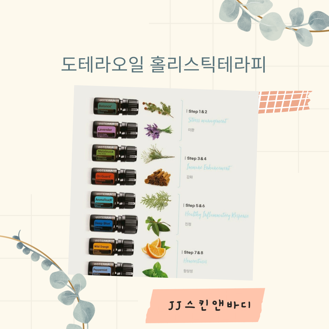 JJ스킨앤바디
