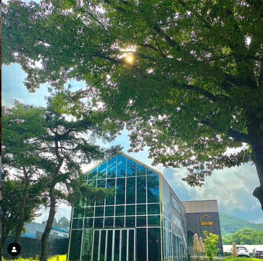 노브133