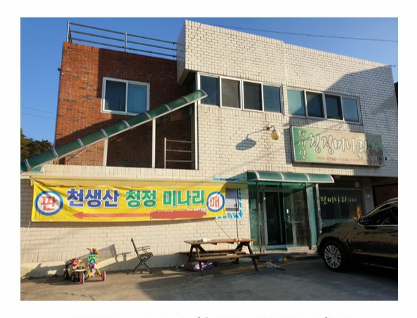 천생산미나리