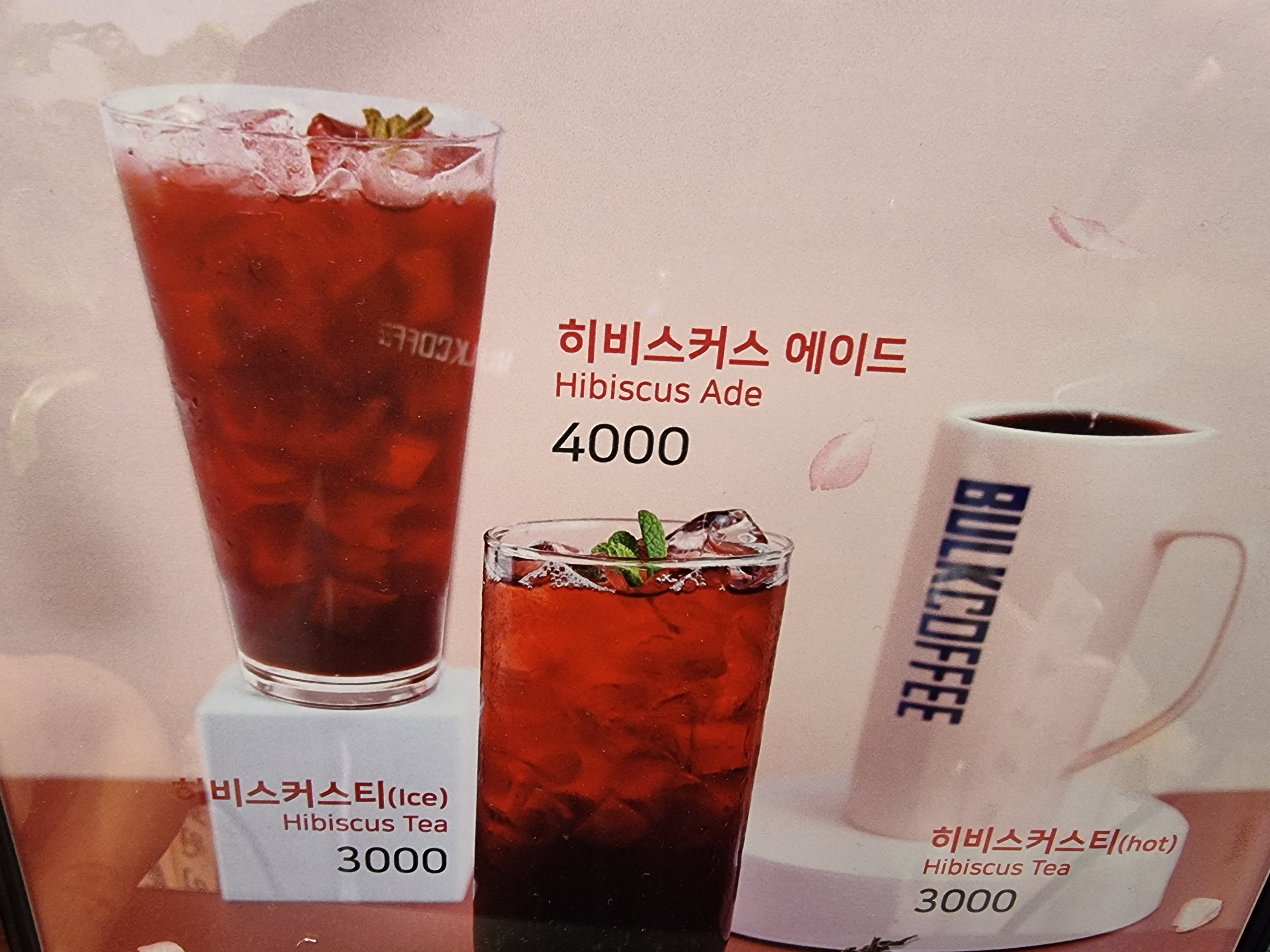 벌크커피 세종나성점