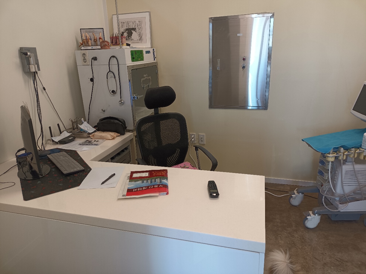 표선동물병원 대표 이미지