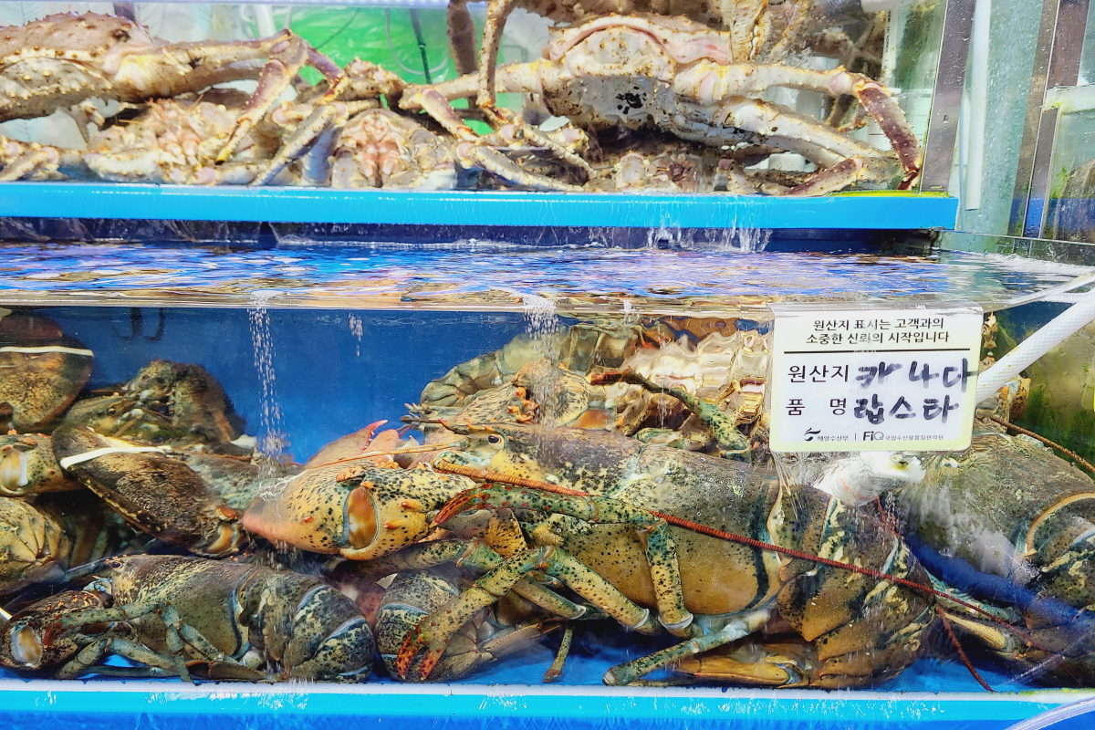 노량진수산시장 복띵이수산3 대게킹크랩전문점