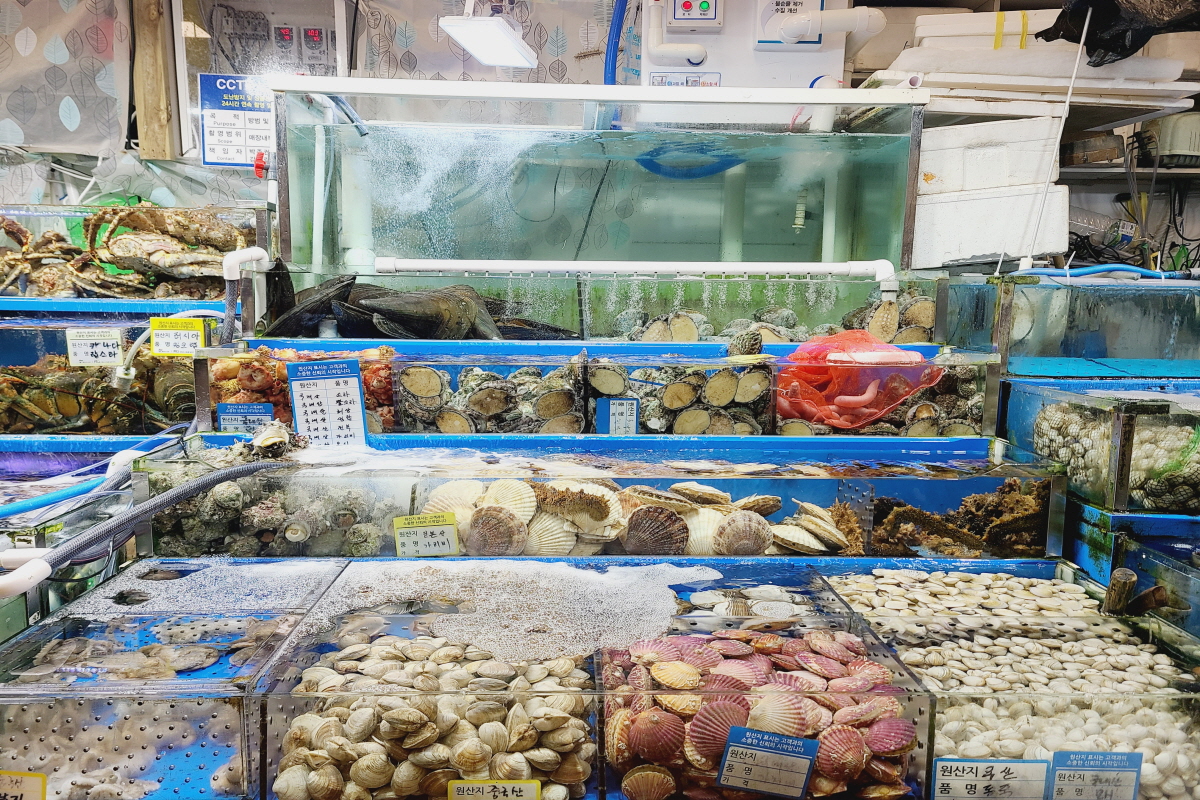 노량진수산시장 복띵이수산3 대게킹크랩전문점