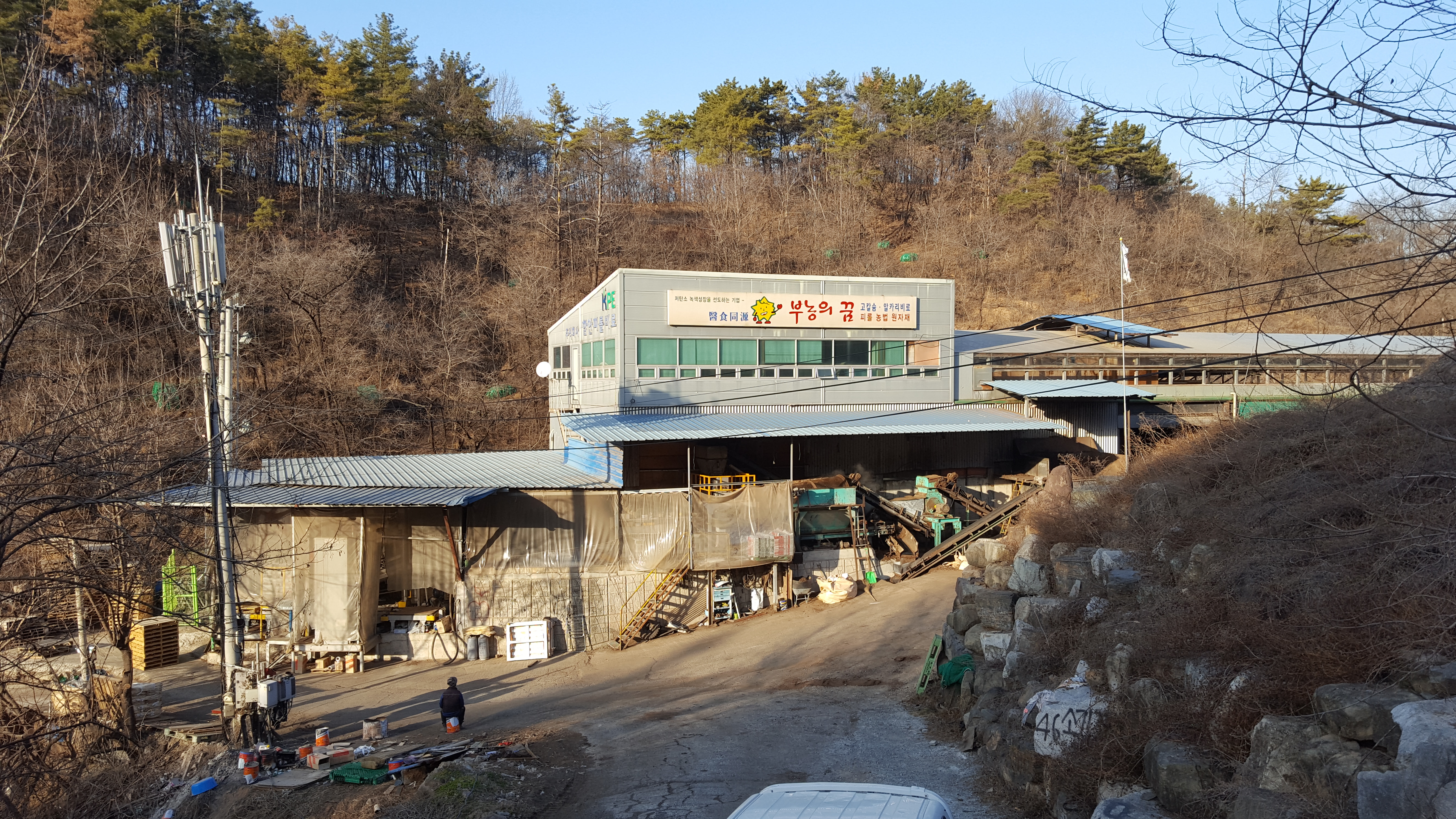 아라비료