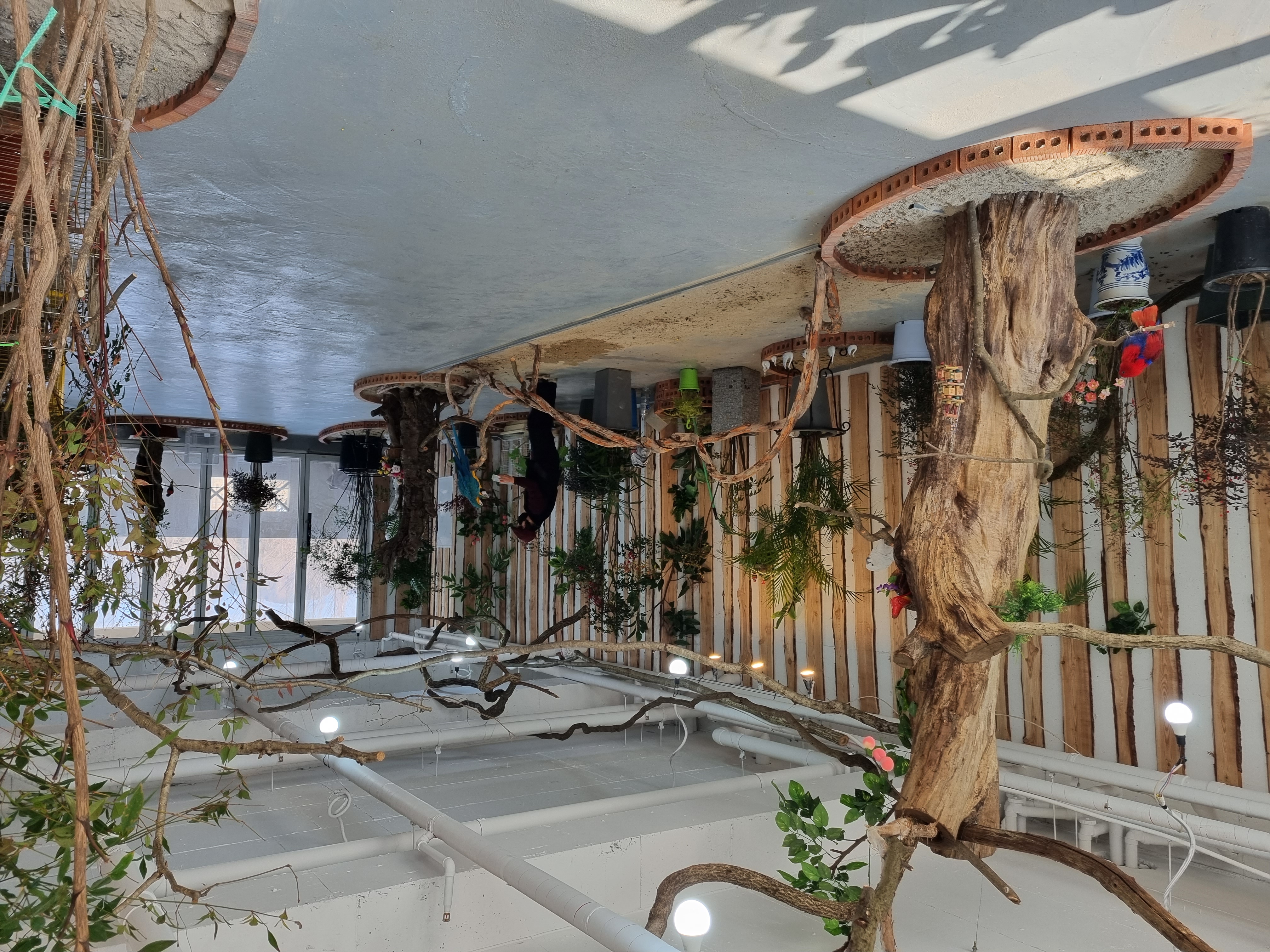 플레이펫 대표 이미지