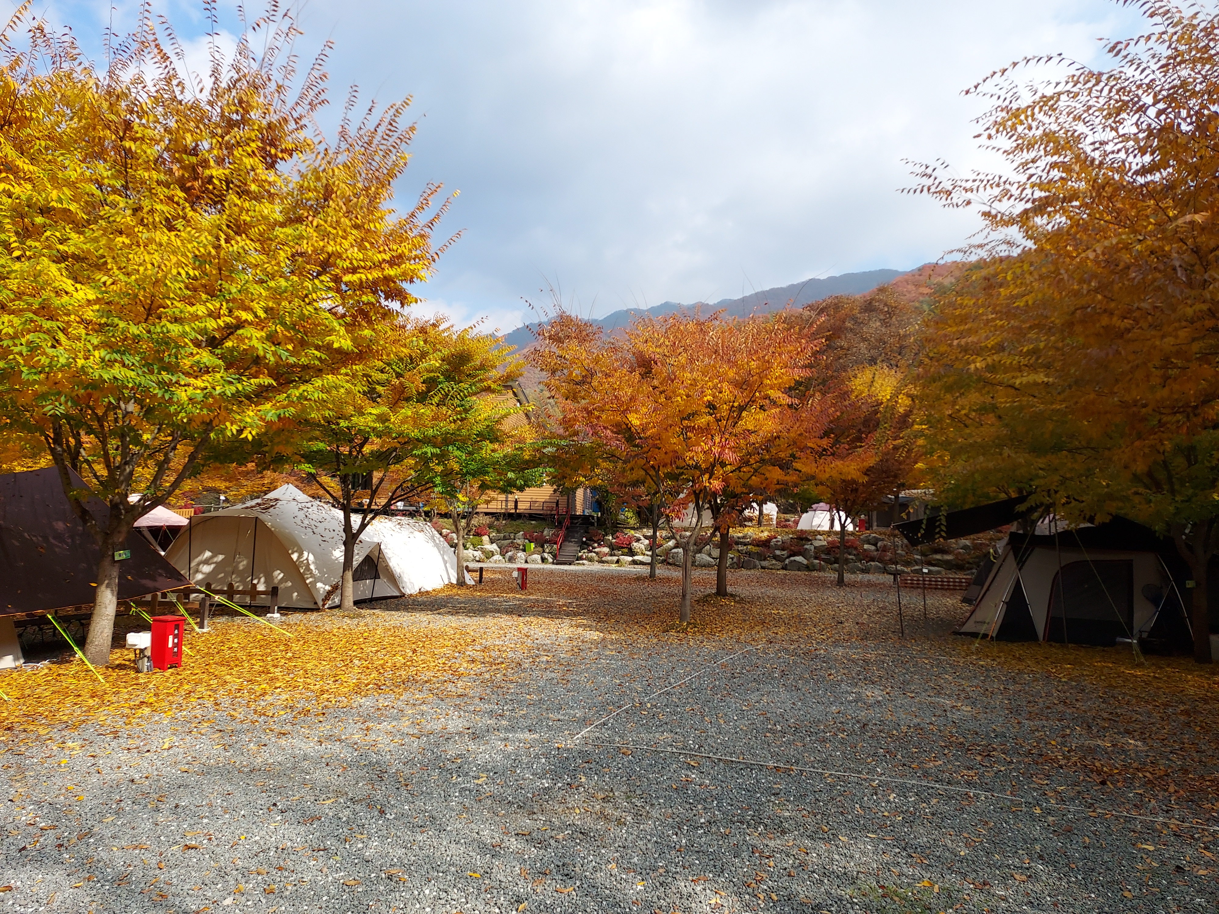 횡성산울림오토캠핑장