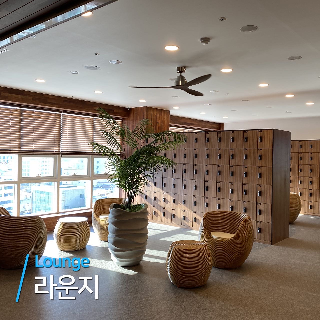 아일랜드 피트니스 고현점 대표 이미지