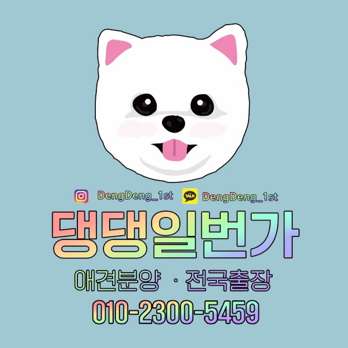 댕댕일번가