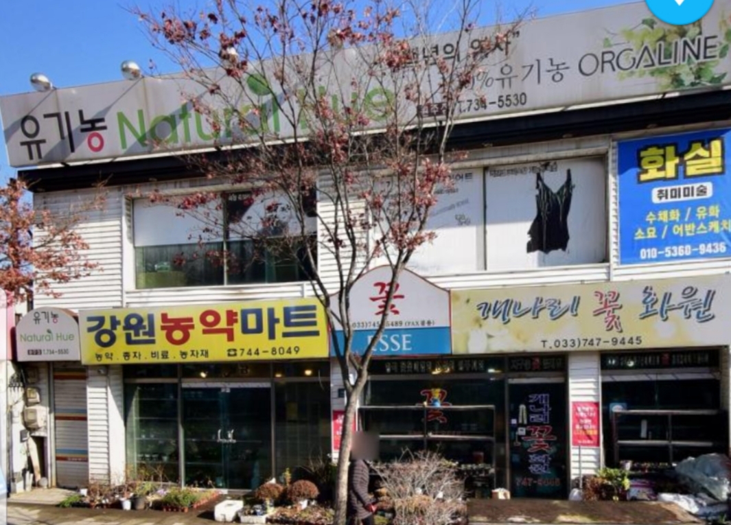 개나리꽃화원