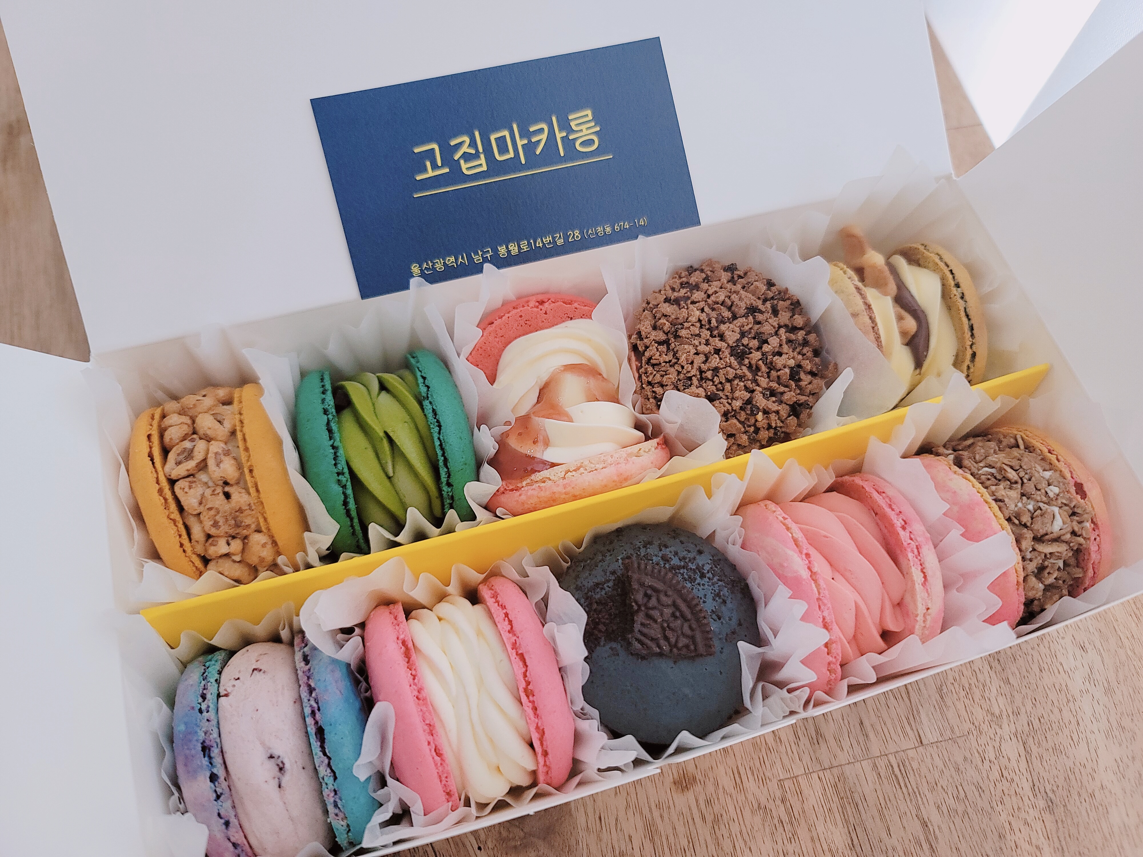 고집마카롱