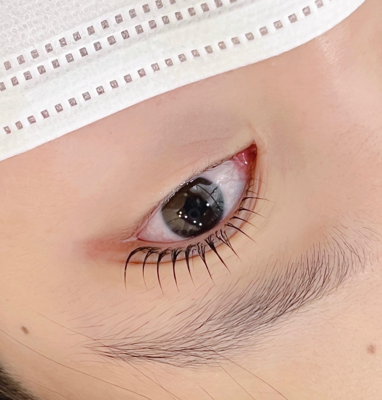 오로시 대표 이미지