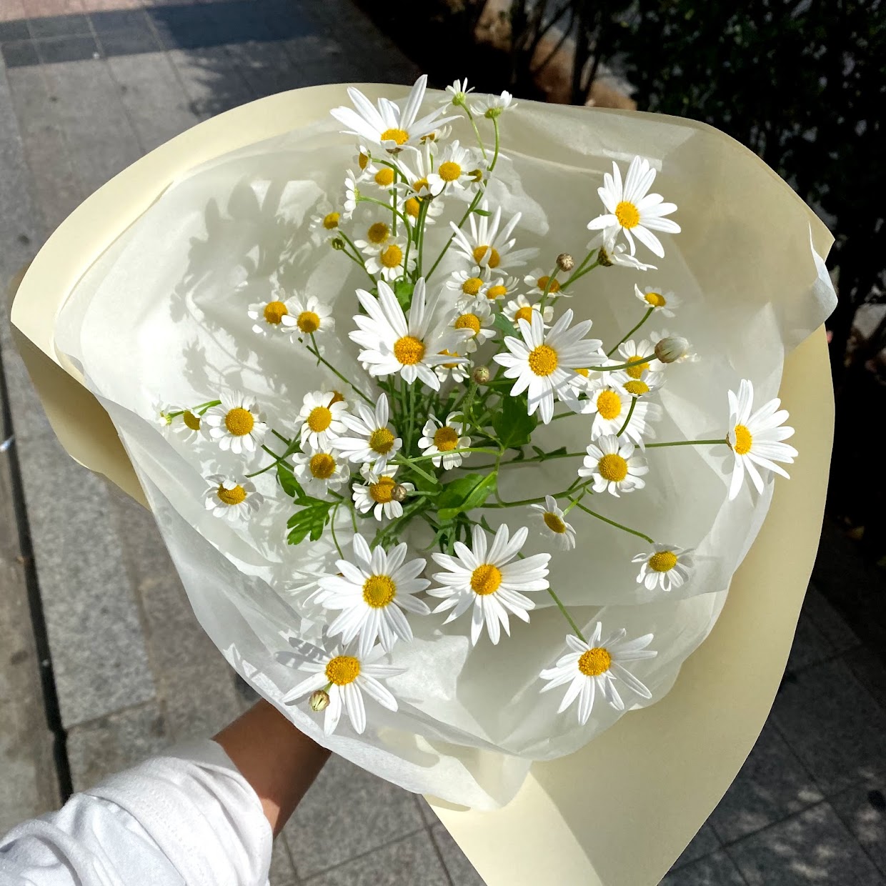 플리에플라워