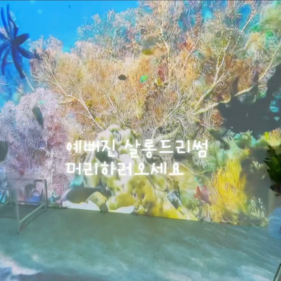 살롱드리썸