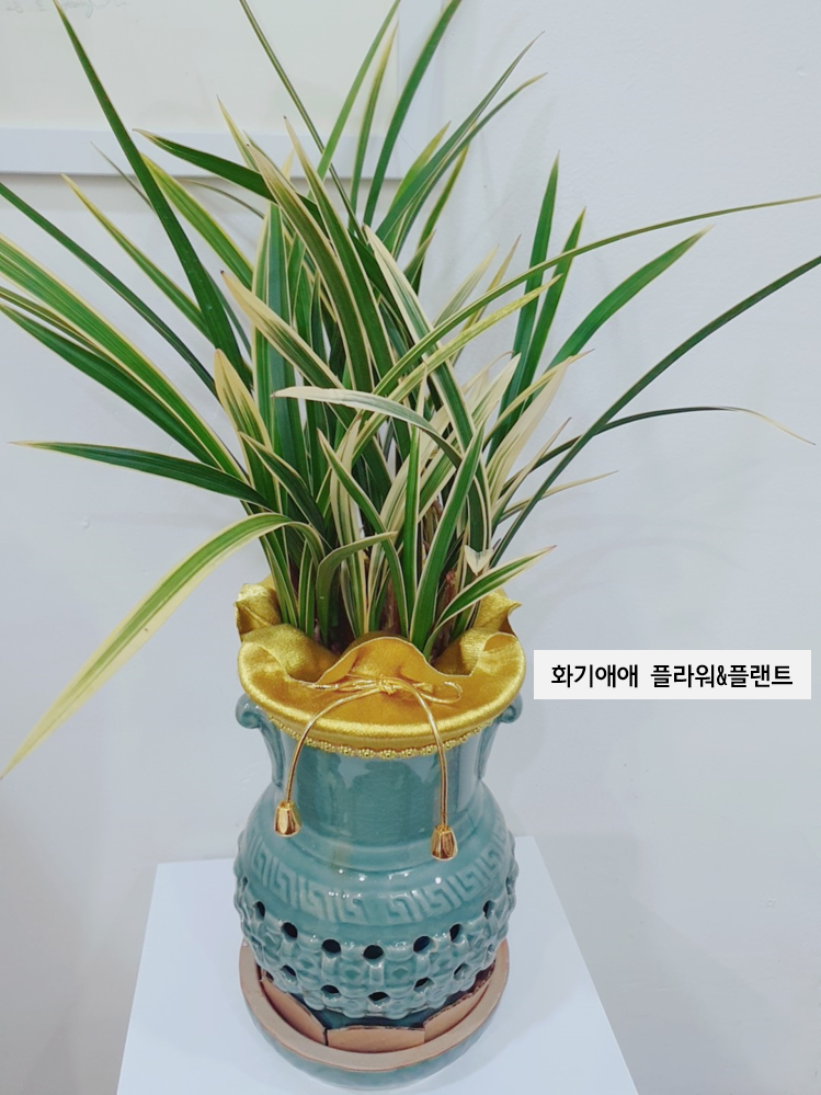 화기애애 플라워&플랜트