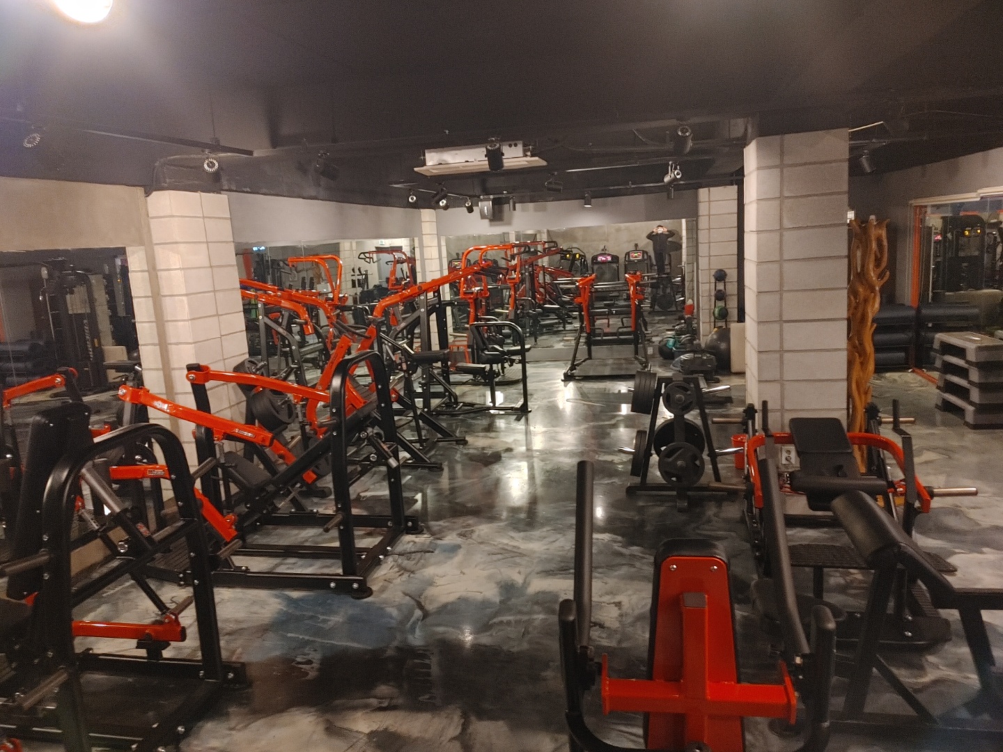fitness H