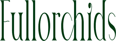 풀오키드 대표 이미지