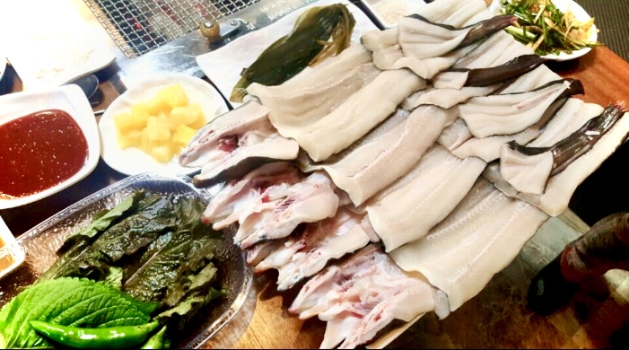 힘센장어
