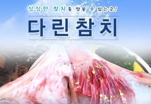 다린참치