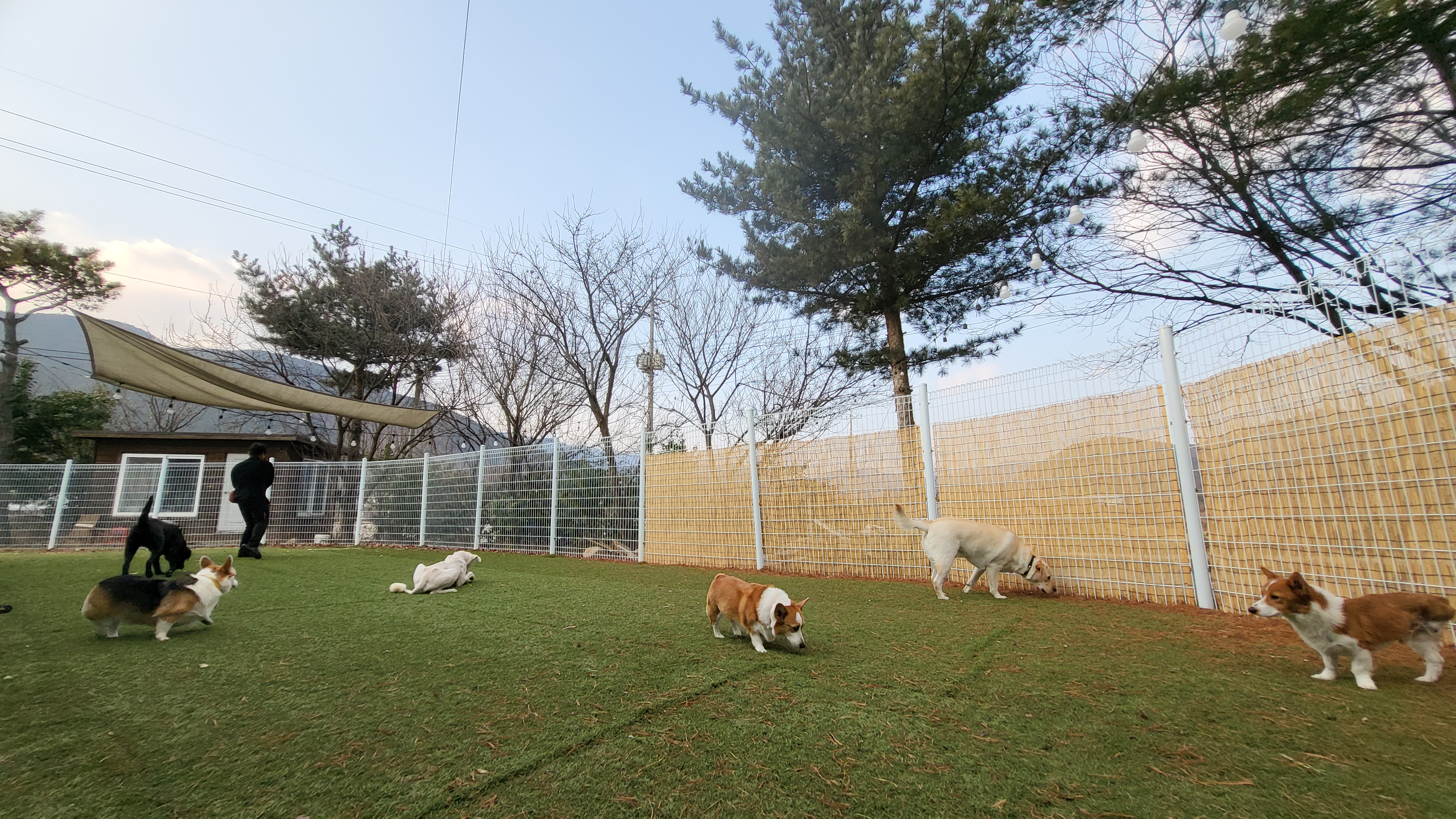 원더케어 대표 이미지