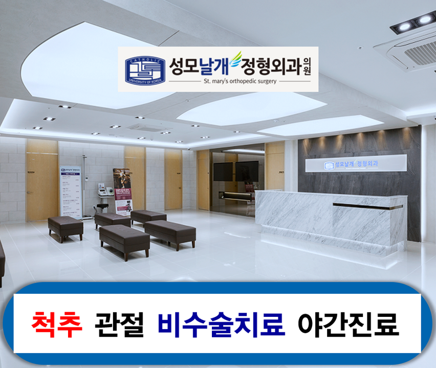 성모날개정형외과의원