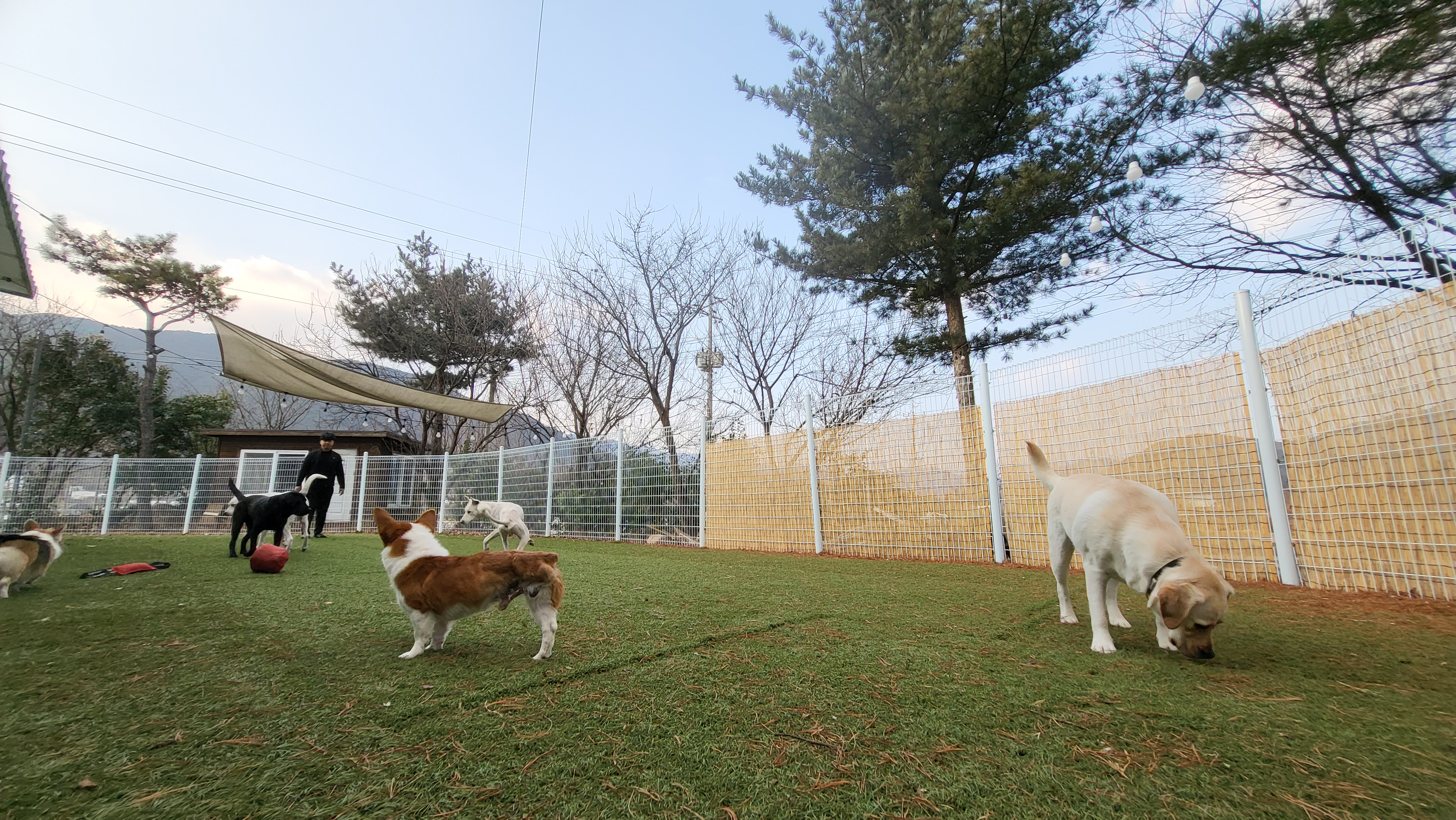 원더케어 대표 이미지