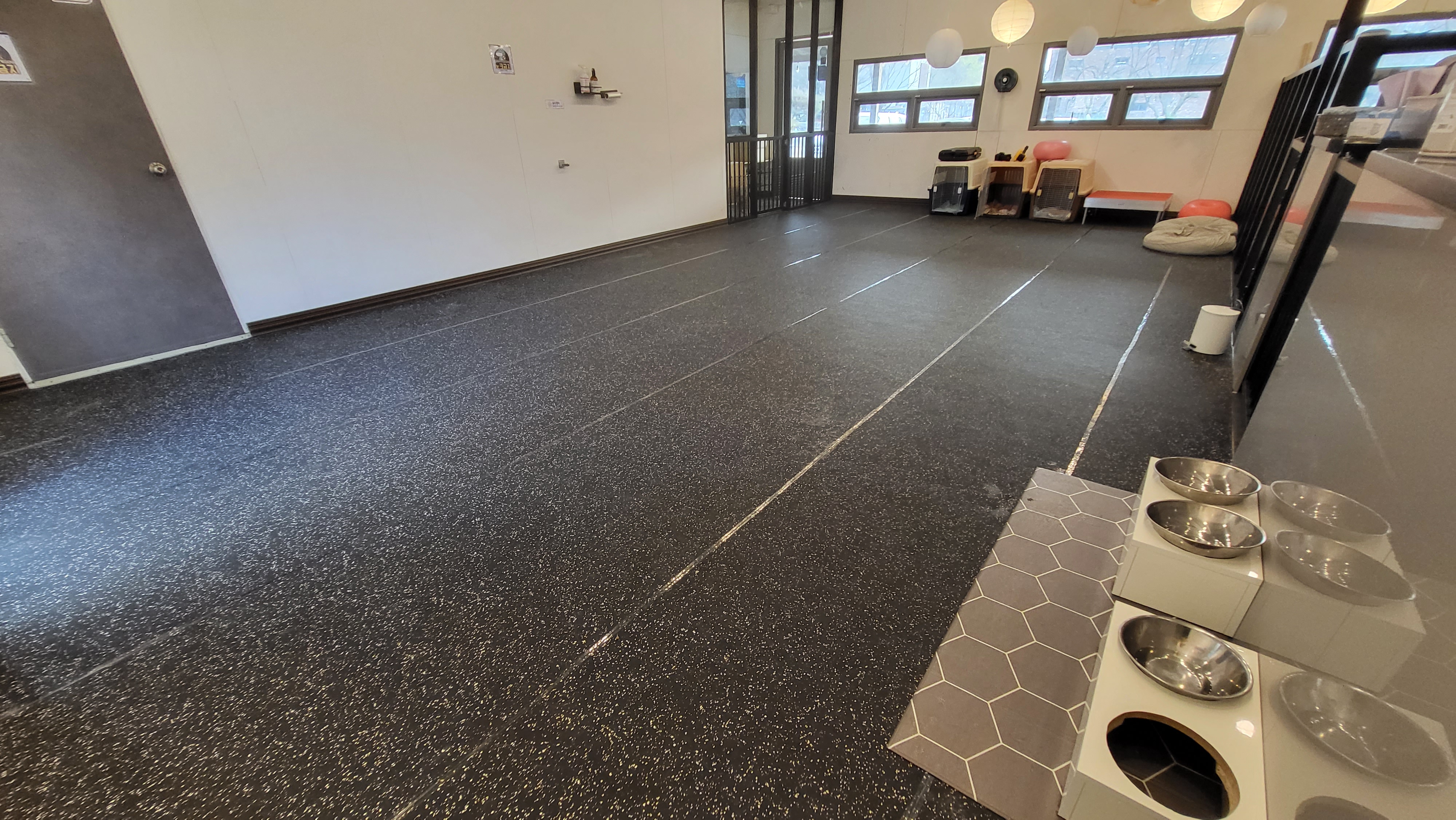 원더케어 대표 이미지