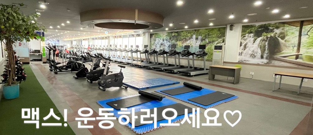 맥스헬스휘트니스